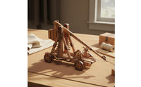 DIY Wooden Trebuchet Kit Detachable Design Counterweight Model Kit for Teens
