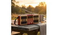 Portable Multifunction Radio Telescopic Antenna mp3 Player Receiver Push Buttons
