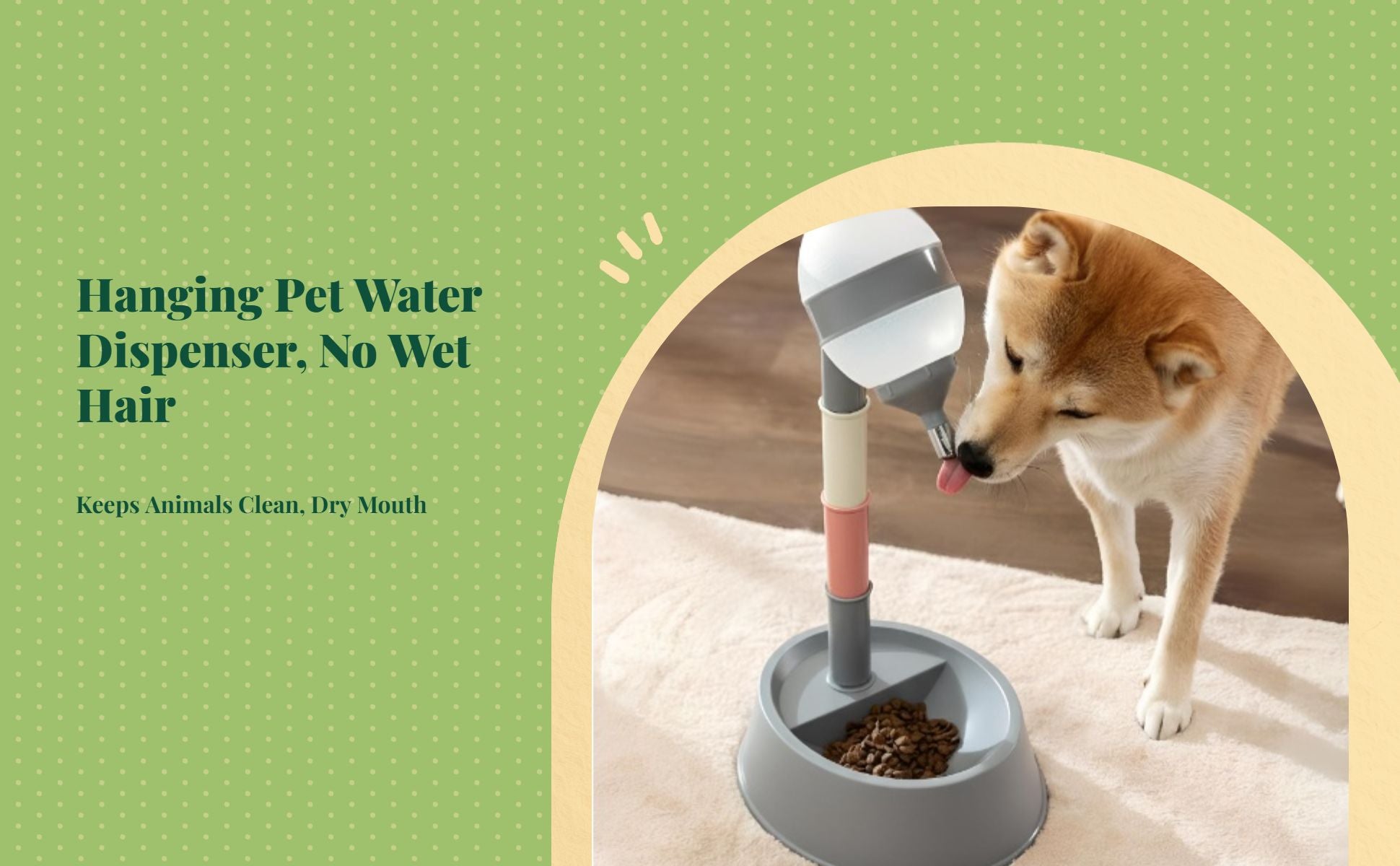 Wall-mounted automatic pet waterer