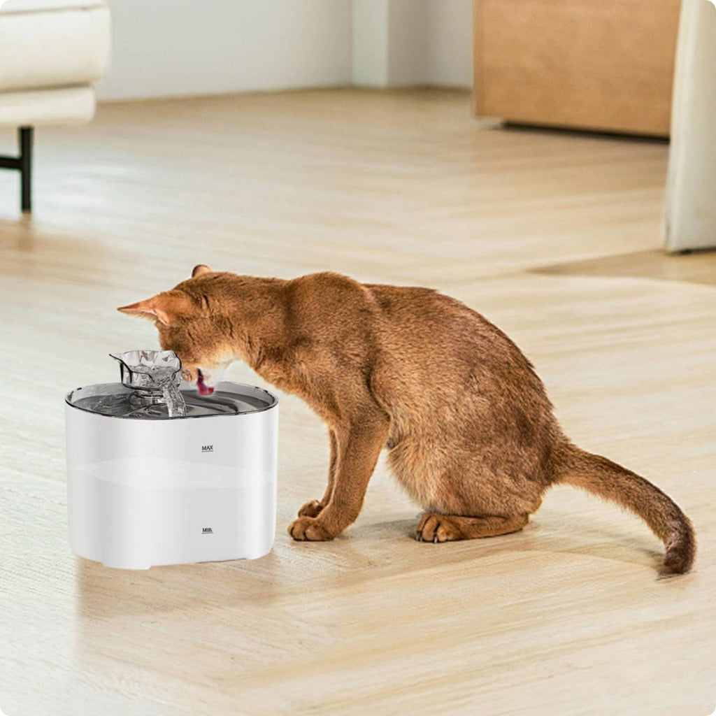 Rechargeable Kitty Fountain Quiet Pet Care Item Easy to Clean for Cats