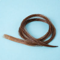 Horse Tail Hair Tied End Horsehair Replacement Easy to Install