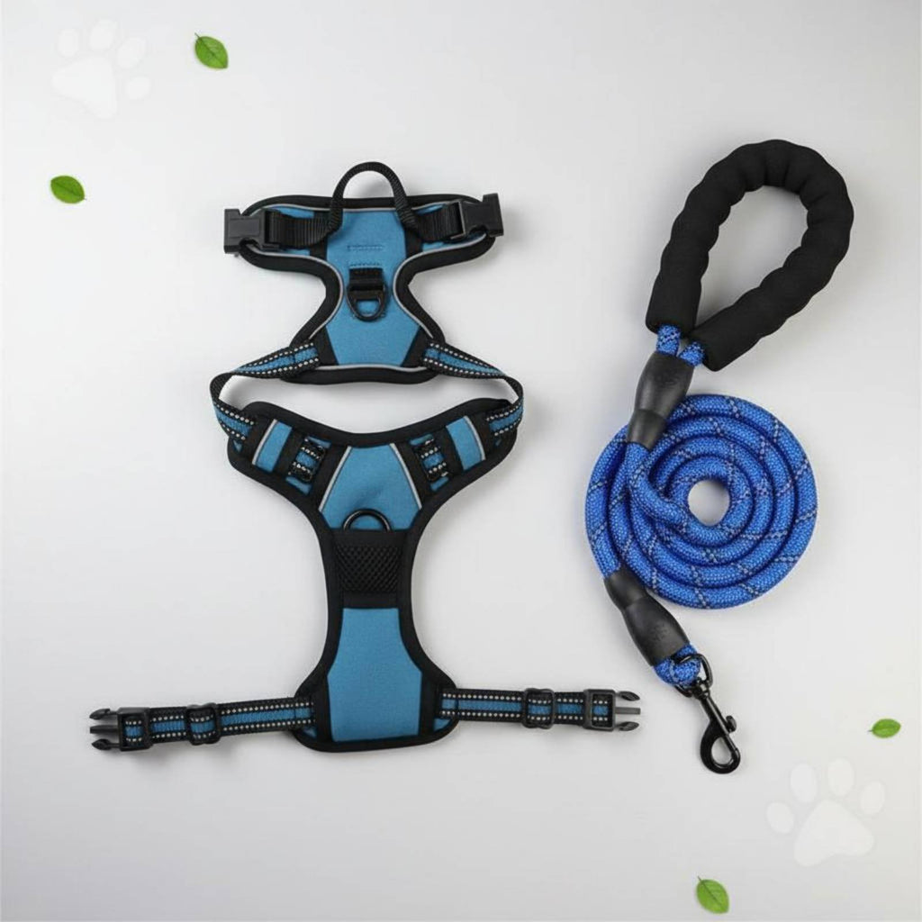 Dog Harness and Leash Set Easy Control Handle Pet Supplies for Walking, Training