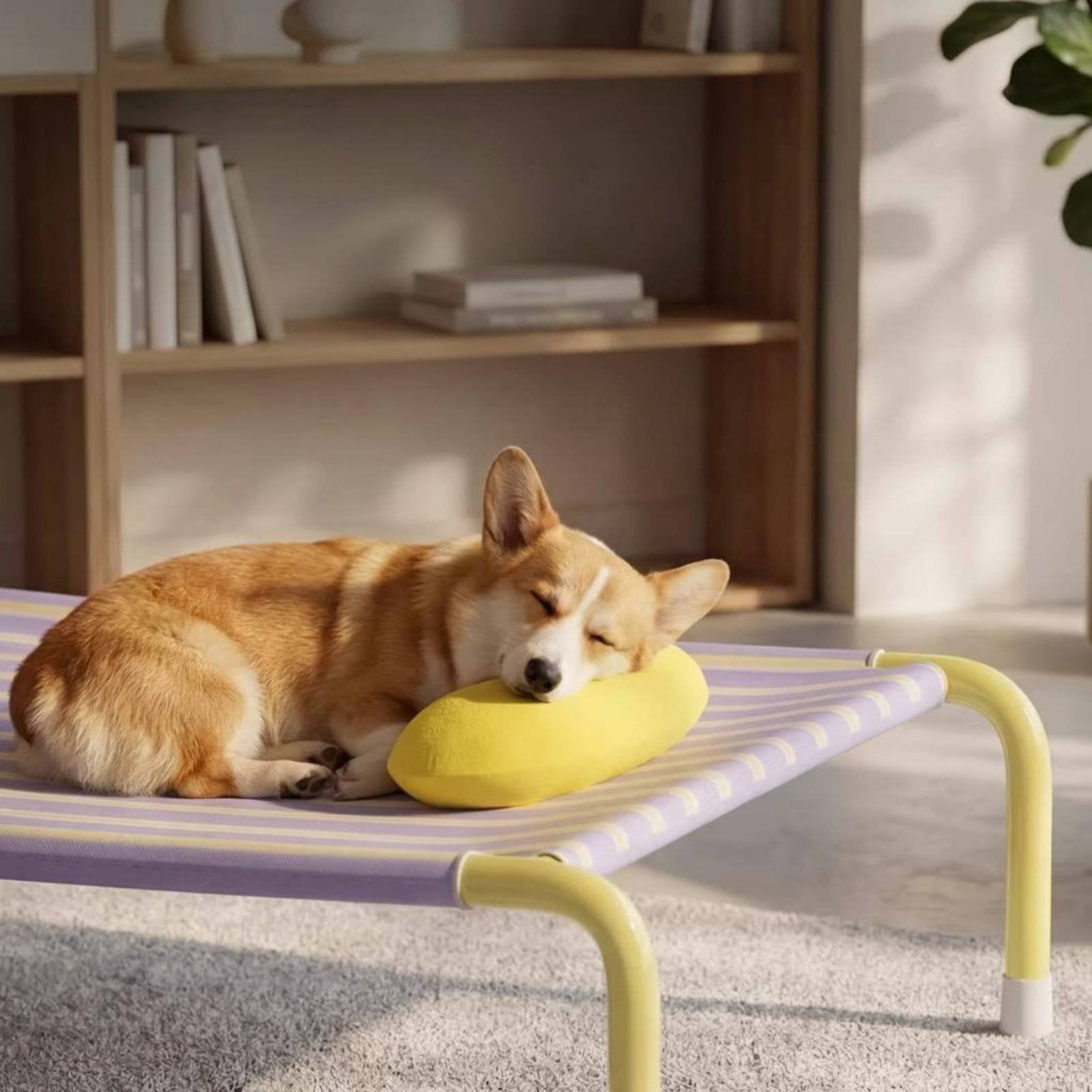 Removable Washable Elevated Dog Bed Easy to Clean Portable Pet Cot Bed Breathable Strong Load Bearing for Indoor