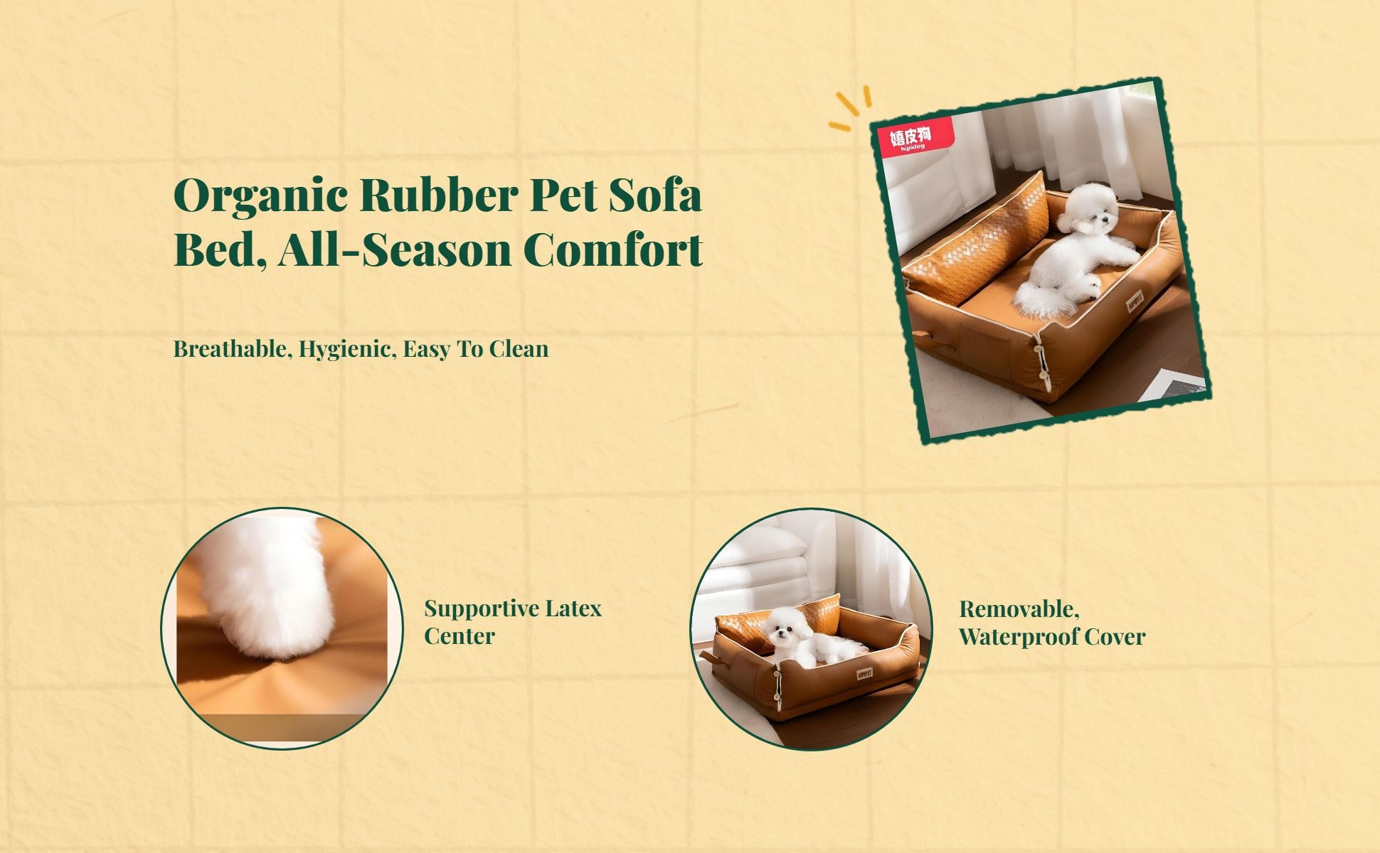 Orthopedic latex dog bed, removable cover