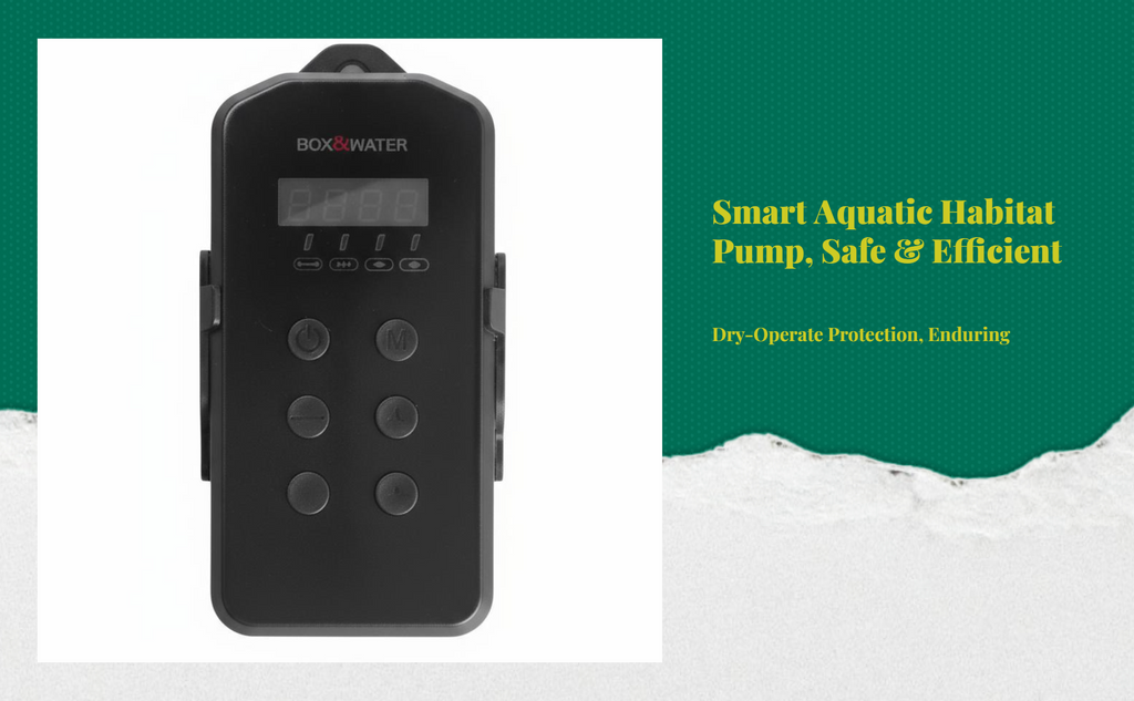Immersible water circulator, extremely quiet aquatic habitat strainer, dry burning protection, circulation filtration, fish reservoir, water feature, hydroponics