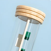 Rainstick Maze Hand-Eye Coordination Balance Bead Tube Sensory Play