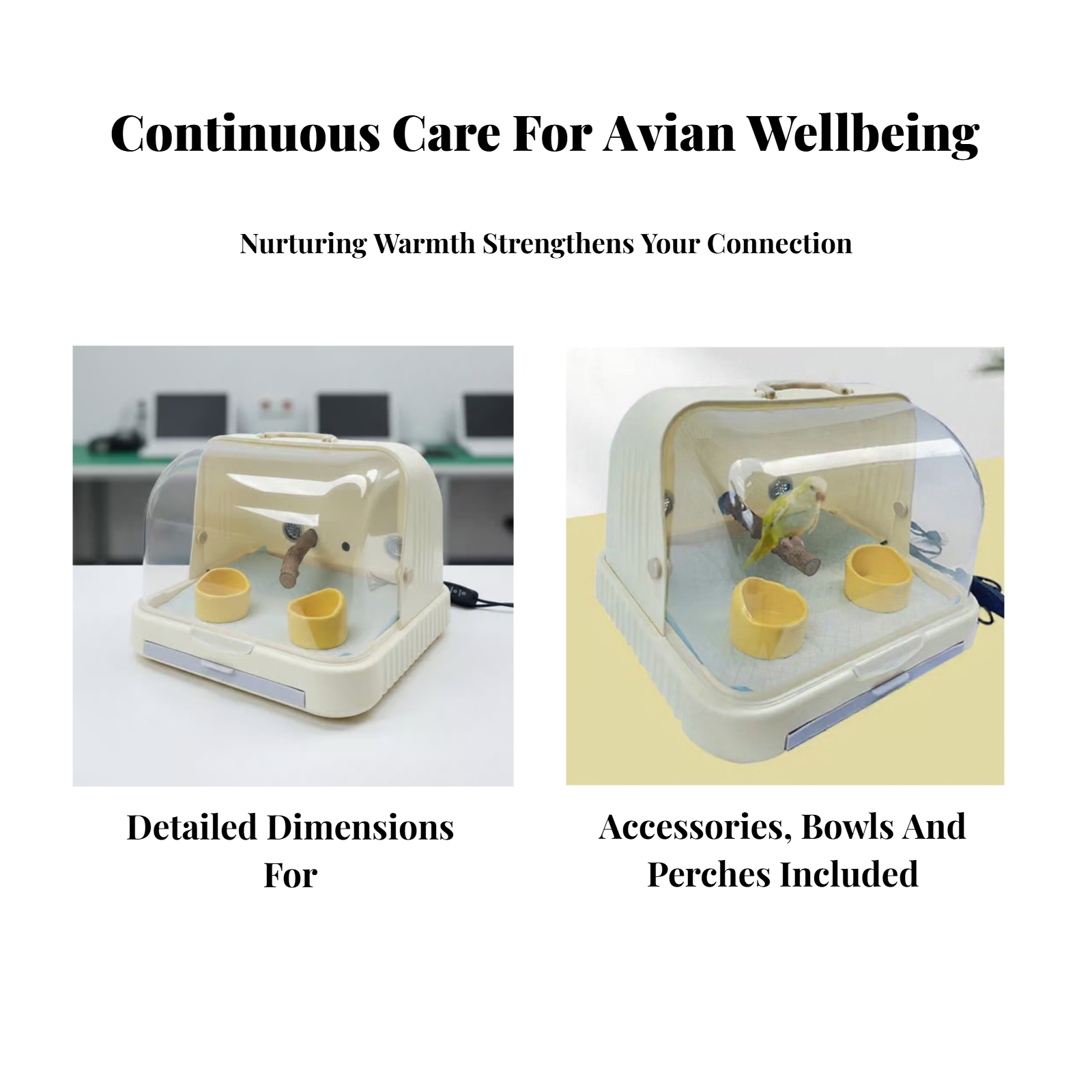 Pet Incubator, Thermostat, Timer, Brooder, Newborn Animals