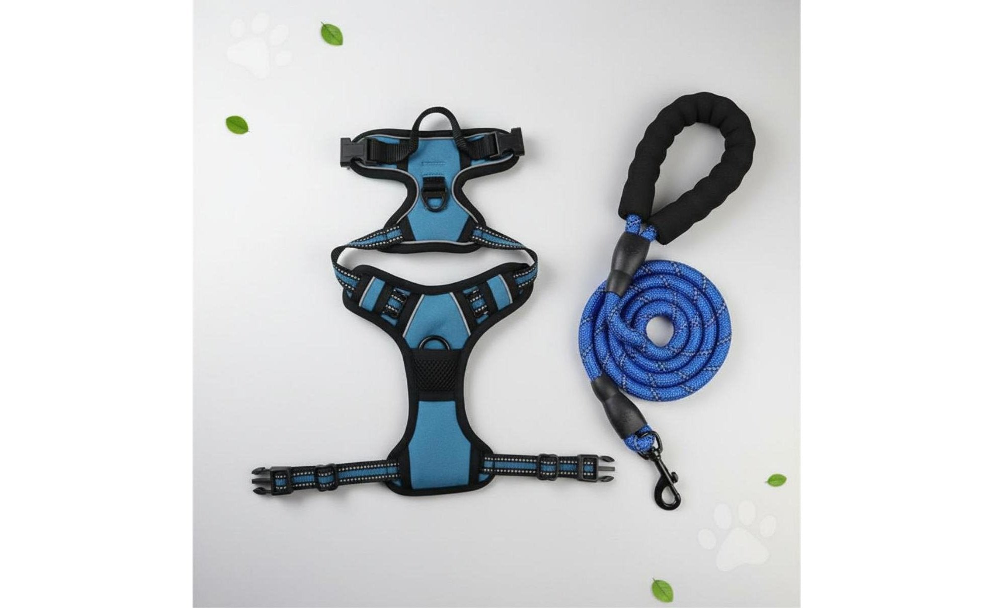 Dog Harness and Leash Set Easy Control Handle Pet Supplies for Walking, Training
