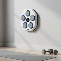 Music Boxing Machine Stress Relief Wall Mounted Punching Target Punch Counter
