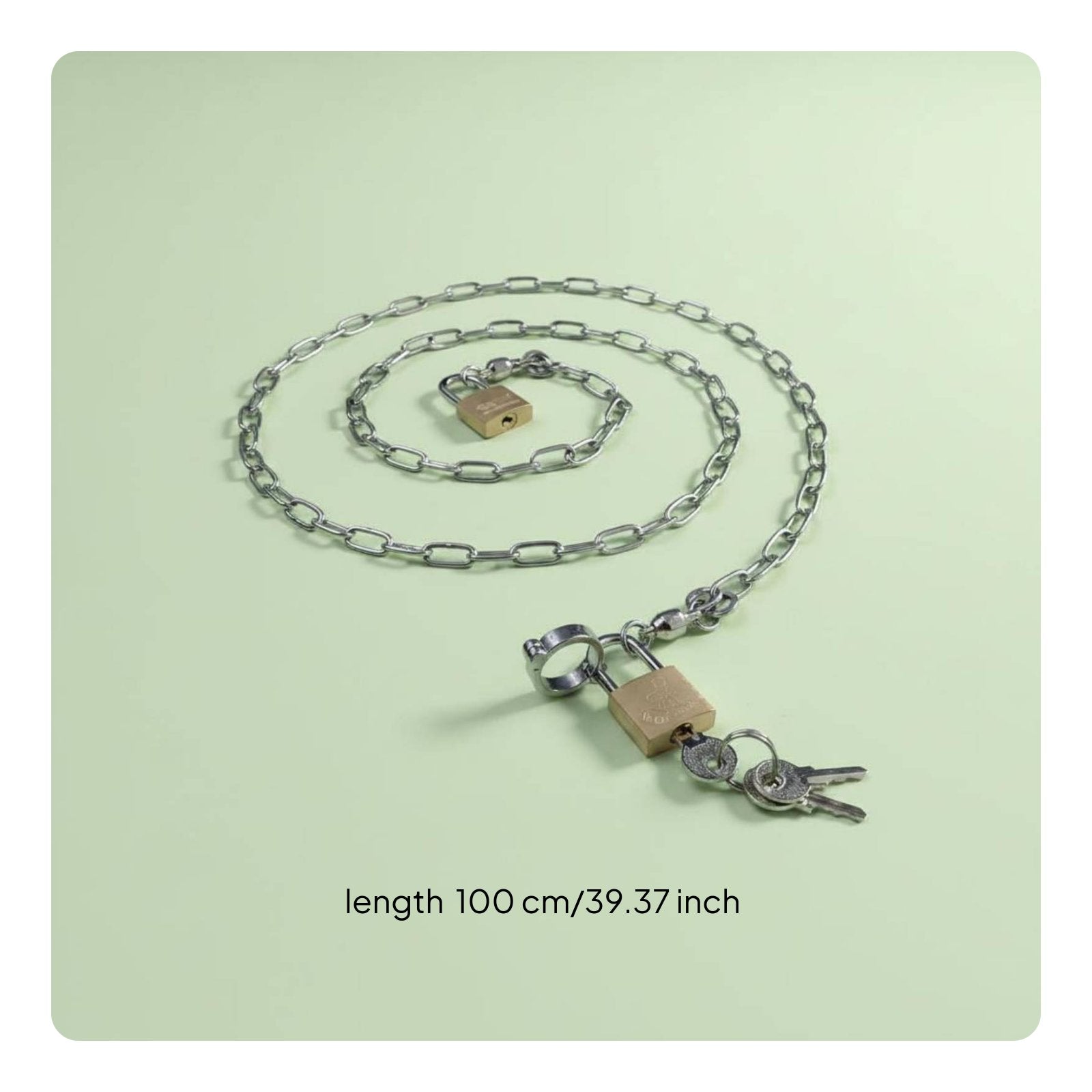 Stainless Steel Avian Ankle Leash Long-Lasting Parrot Foot Loop Chain Lockable