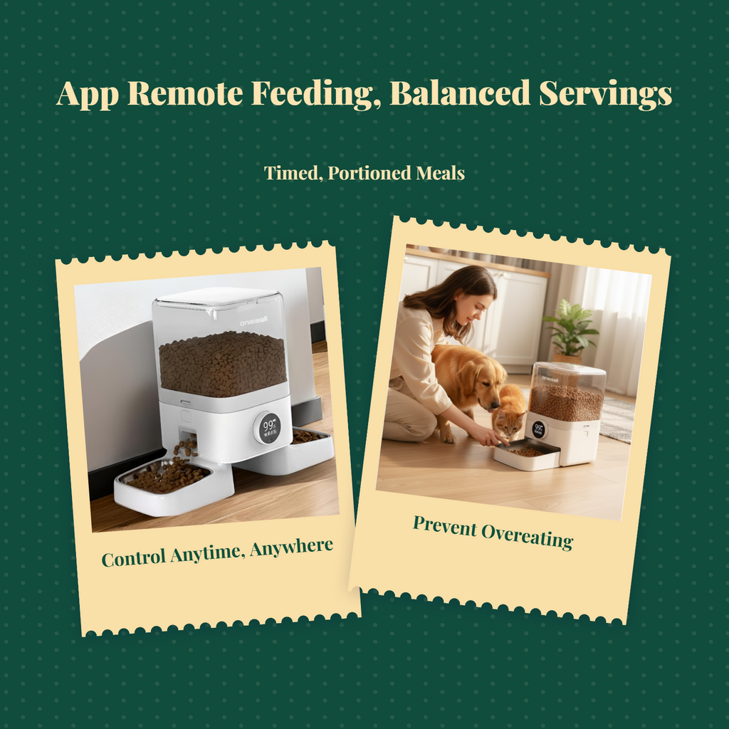 App-controlled automatic feeder