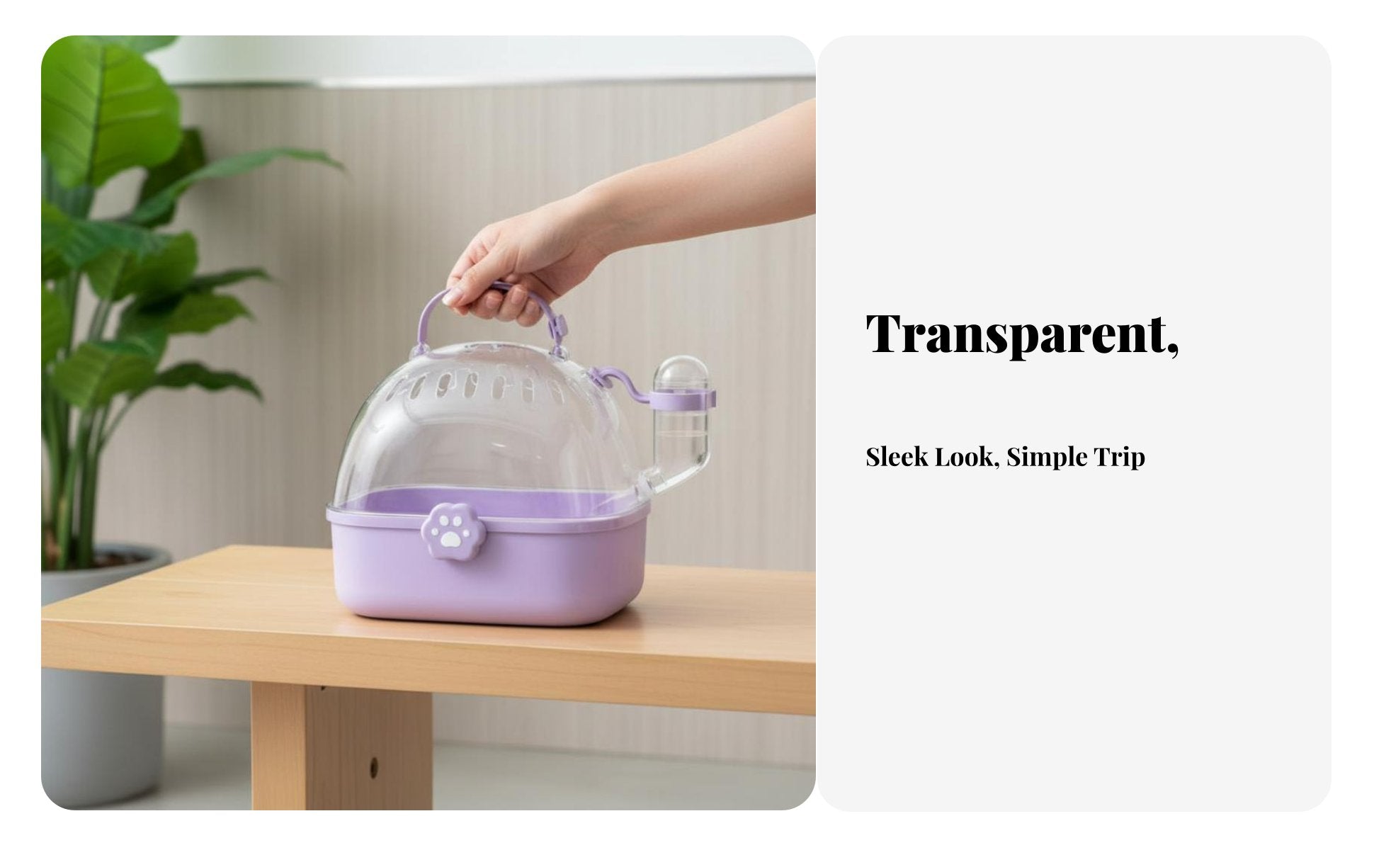 Transparent Capsule Pet transport Spacious Interior Small creature excursion Bag
