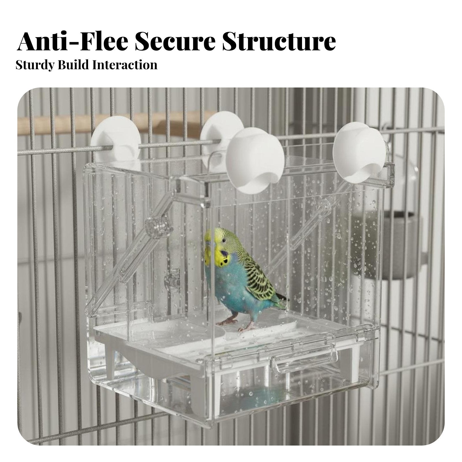 Multi-Functional Bird Feeder Bath Anti-Splash Parrot Shower Box Multipurpose Use