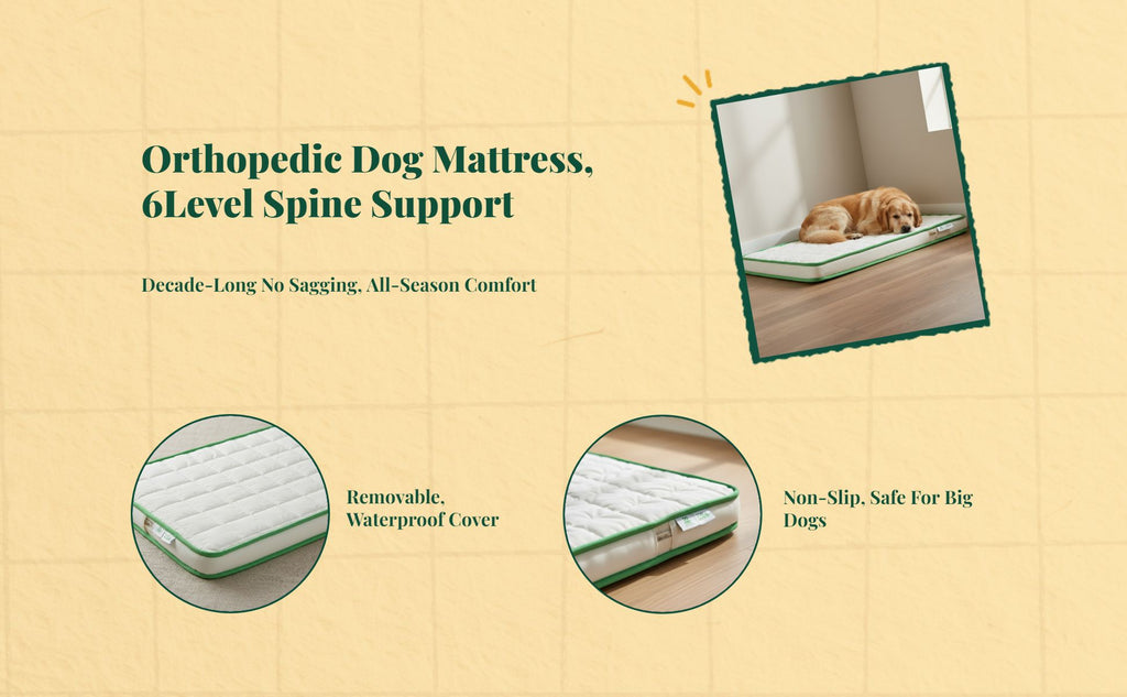 Orthopedic Dog Bed, Foam Mattress, Waterproof, Non-Slip