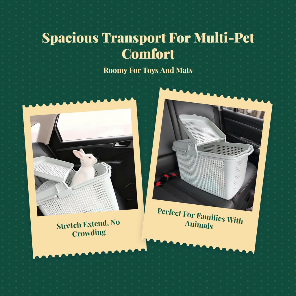 Foldable double pet travel carrier