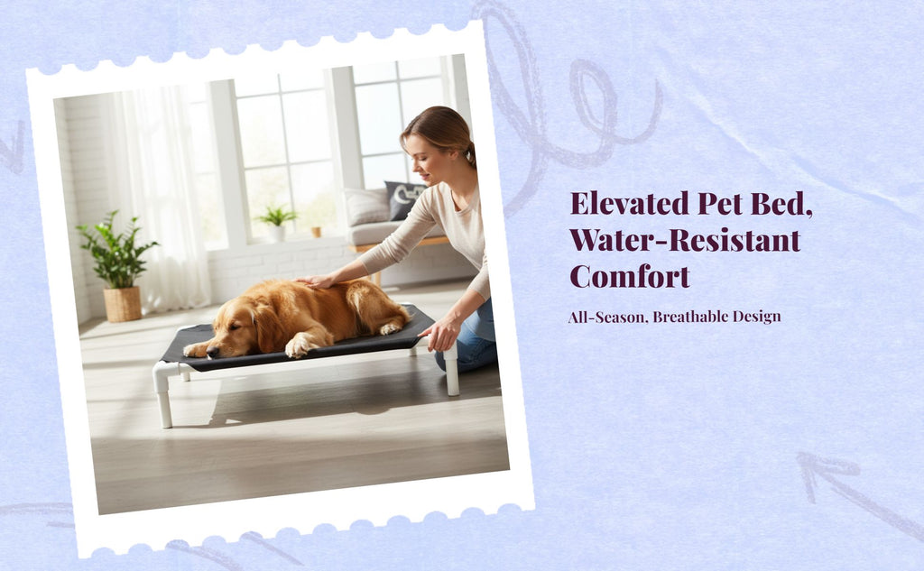 Breathable raised pet bed