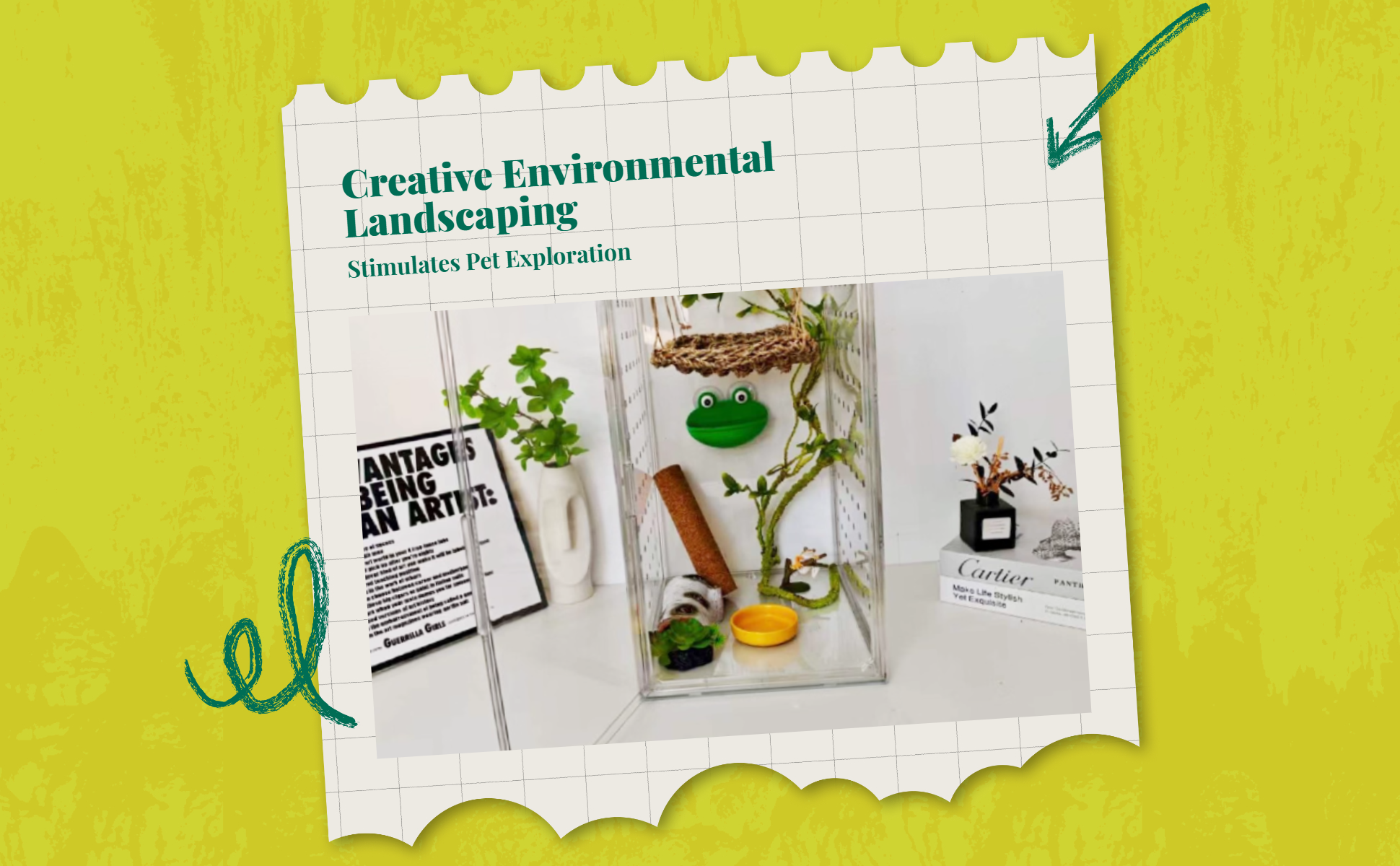 Ventilated acrylic terrarium for amphibians