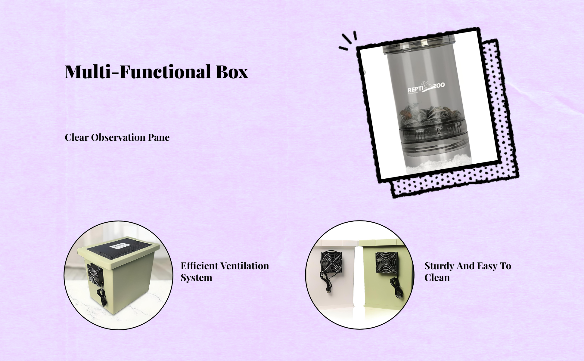 Ventilated box for cricket breeding.