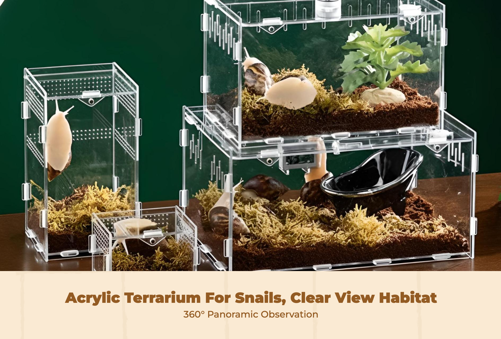 Ventilated acrylic terrarium for breeding