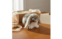 Lop Eared Rabbit Stuffed Animal Gift Idea Stuffed Rabbit Toy Realistic Design