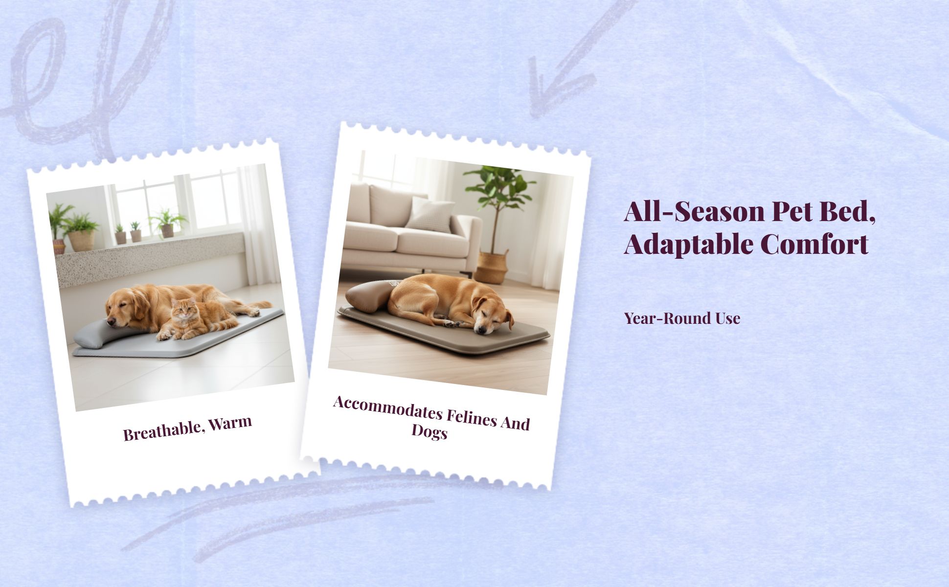 Dog Bed, Waterproof Removable Cover, Non-Slip, Easy Care