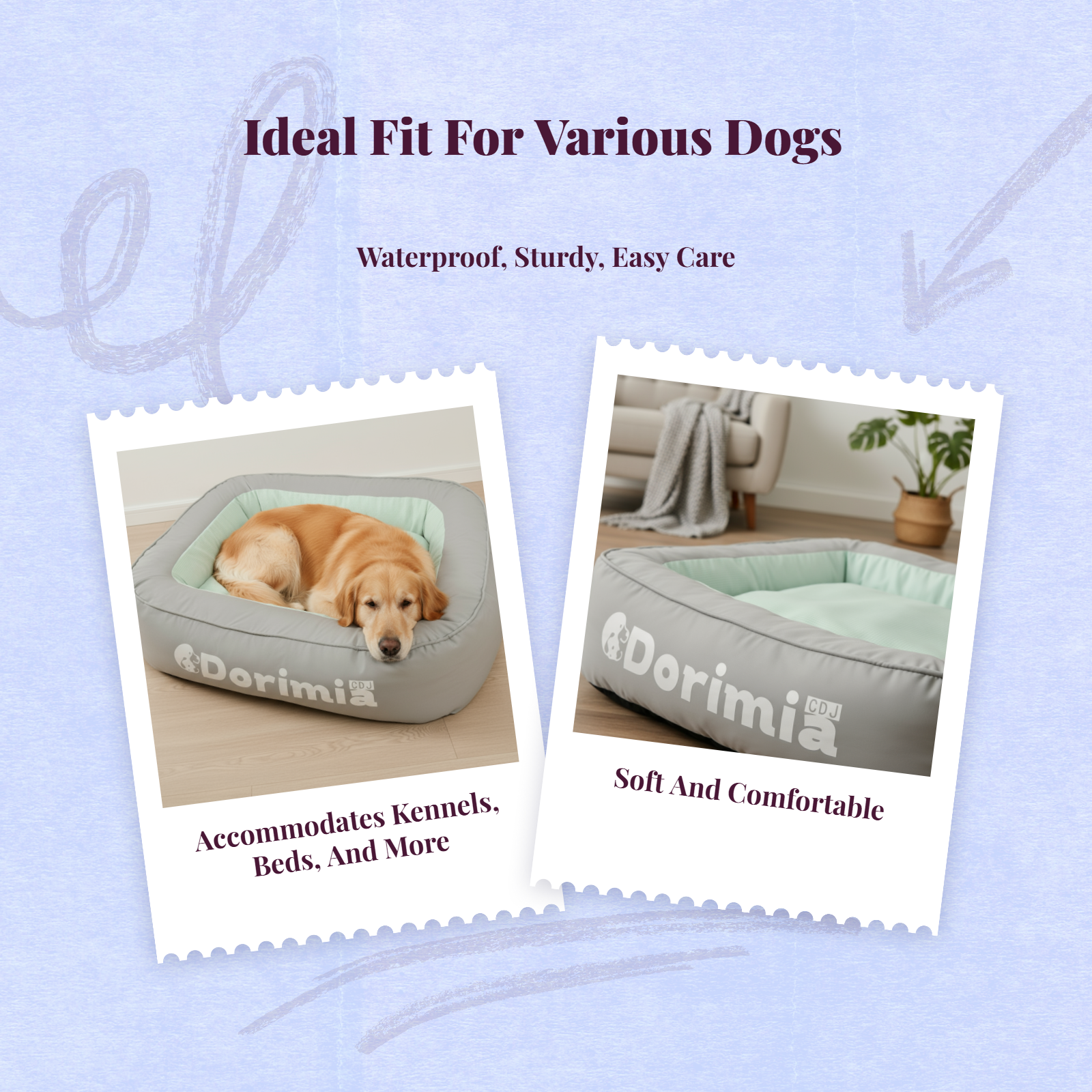 Orthopedic dog bed with removable cover