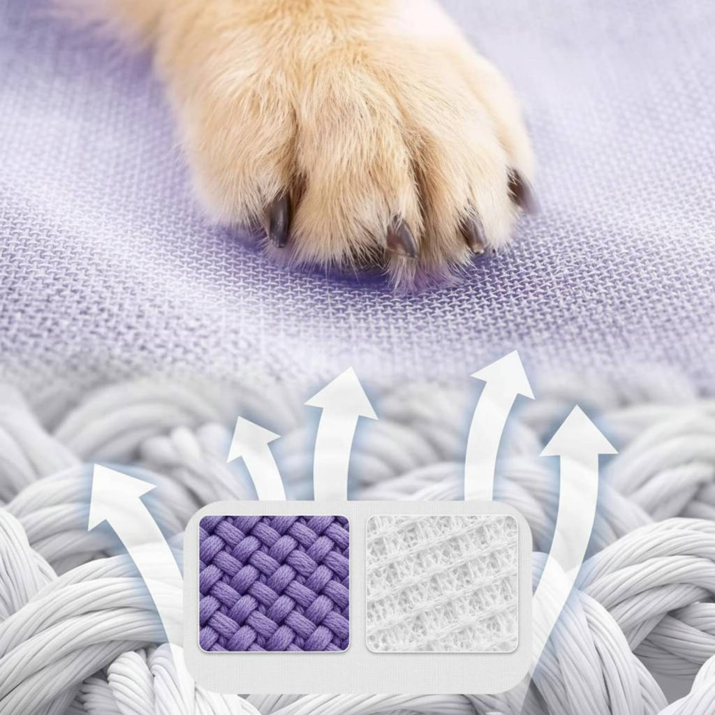 Removable Washable Elevated Dog Bed Easy to Clean Portable Pet Cot Bed Breathable Strong Load Bearing for Indoor