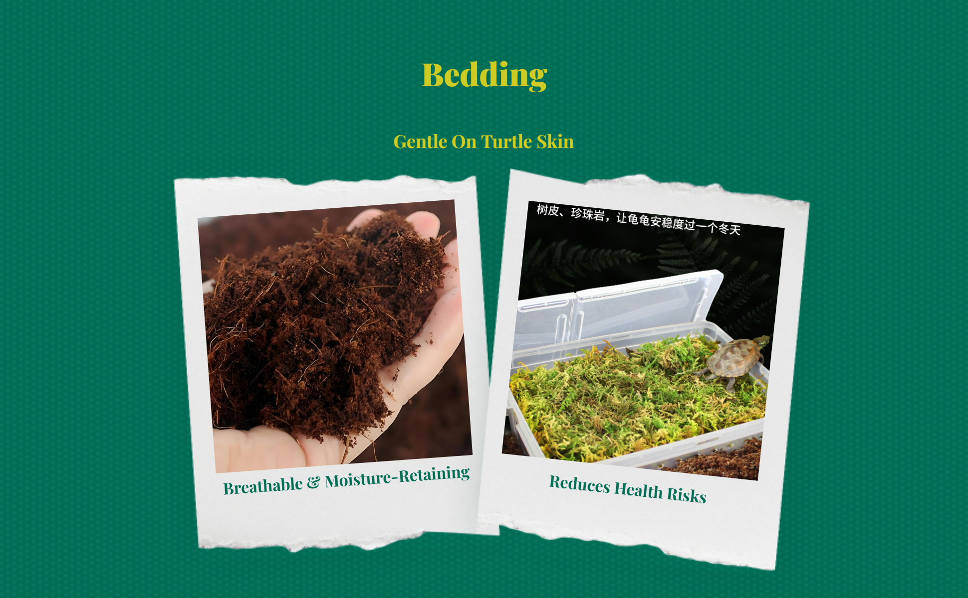 Tortoise hibernation box with coconut soil