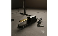 Sustain Pedal Polarity Switch Electronic Piano Foot Pedal 6.5mm Jack Synthesizer Footswitch for Home Studio