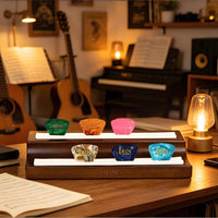 Wooden Guitar Pick Holder Double-Row Slots Guitar Pick Display Box for Teaching