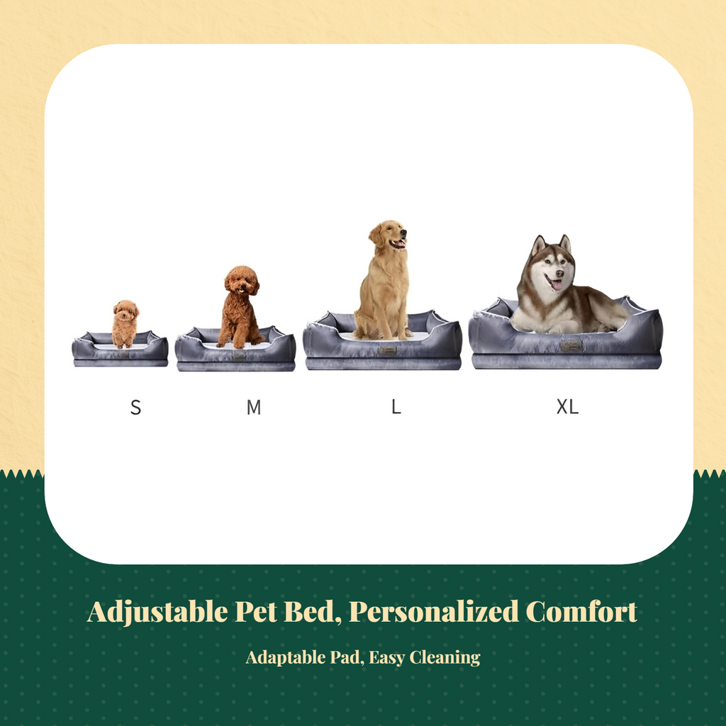 Orthopedic bed for medium-large dogs
