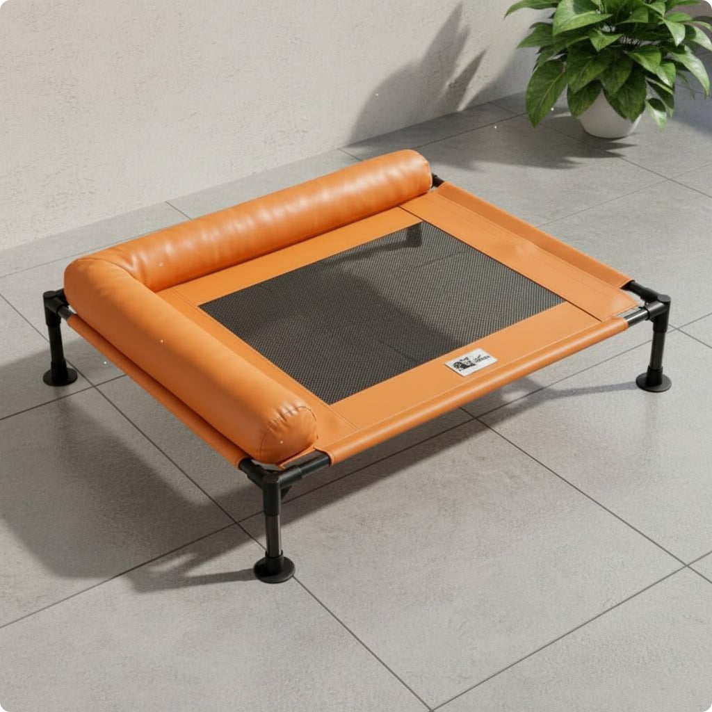 Elevated Dog Bed Raised-Floor Design Mesh Dog Bed Removable Cover for Indoor