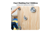 10 Pieces Rock Climbing Holds Set Textured Grips Kids' Rock Wall Handholds Non-Slip Texture Easy to Install