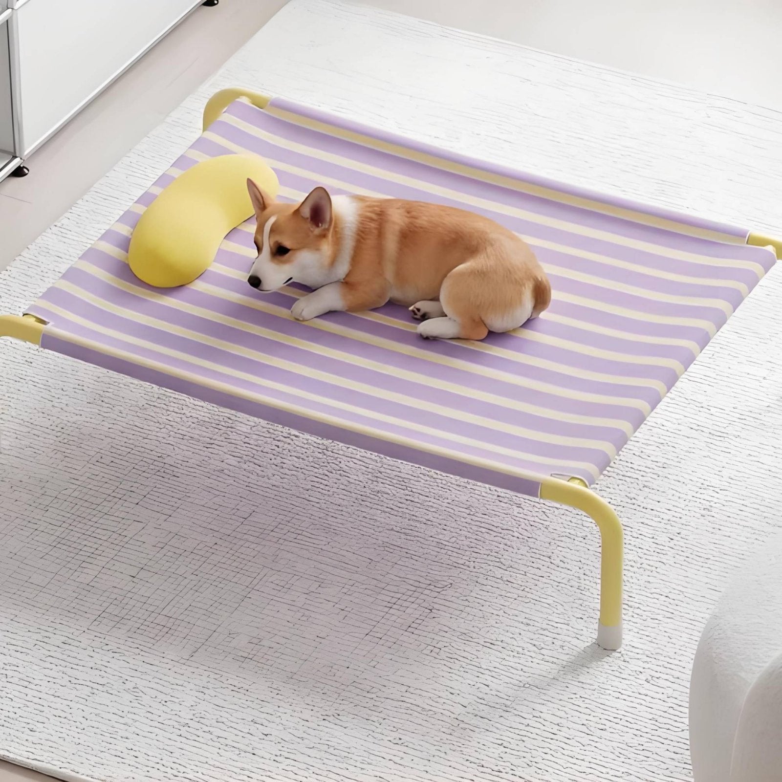 Removable Washable Elevated Dog Bed Easy to Clean Portable Pet Cot Bed Breathable Strong Load Bearing for Indoor