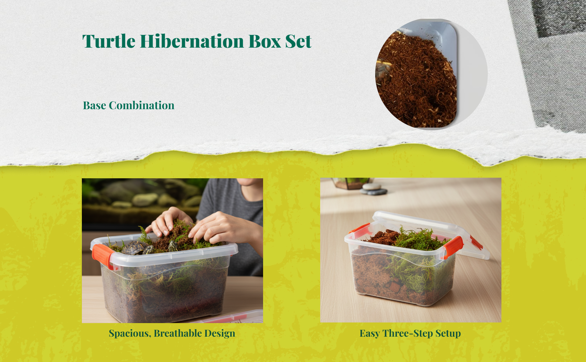 Turtle hibernation box with coconut coir