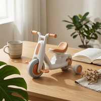 Three-Wheeled Tricycle Kids Trike Balance and Coordination Tricycle Riding Toy