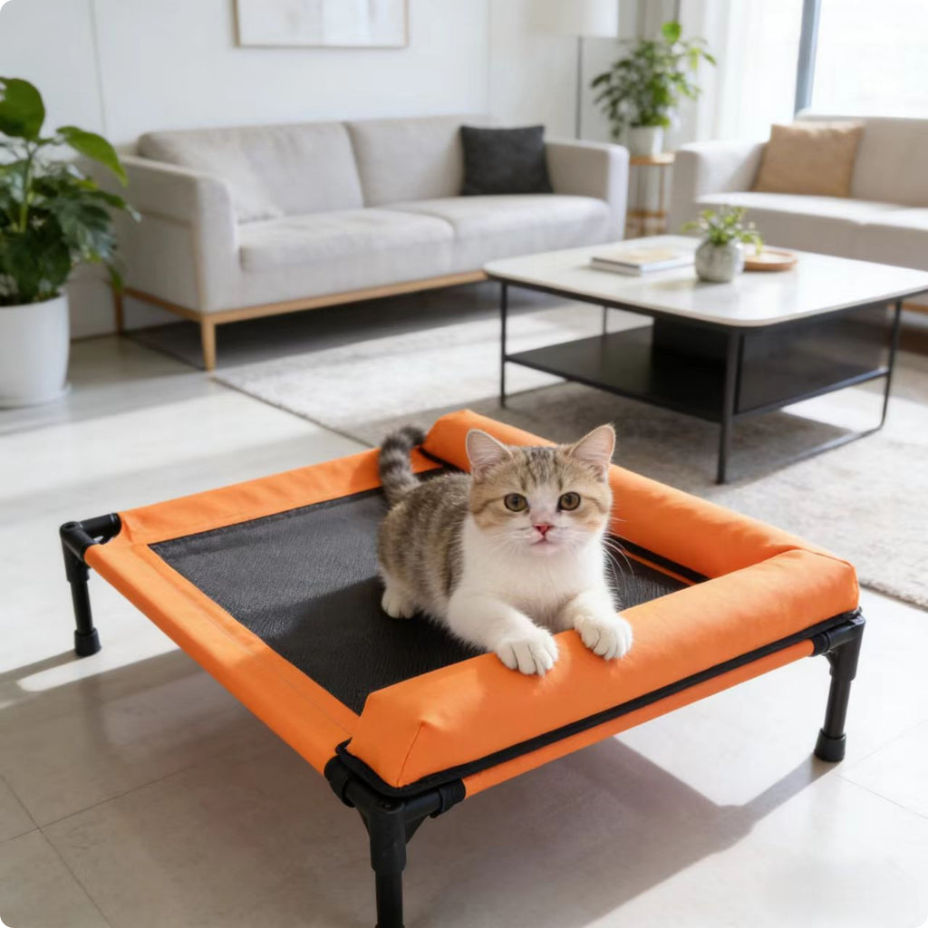 Raised Pet Bed Iron Frame Mesh Pet Bed Skid-Resistant Feet