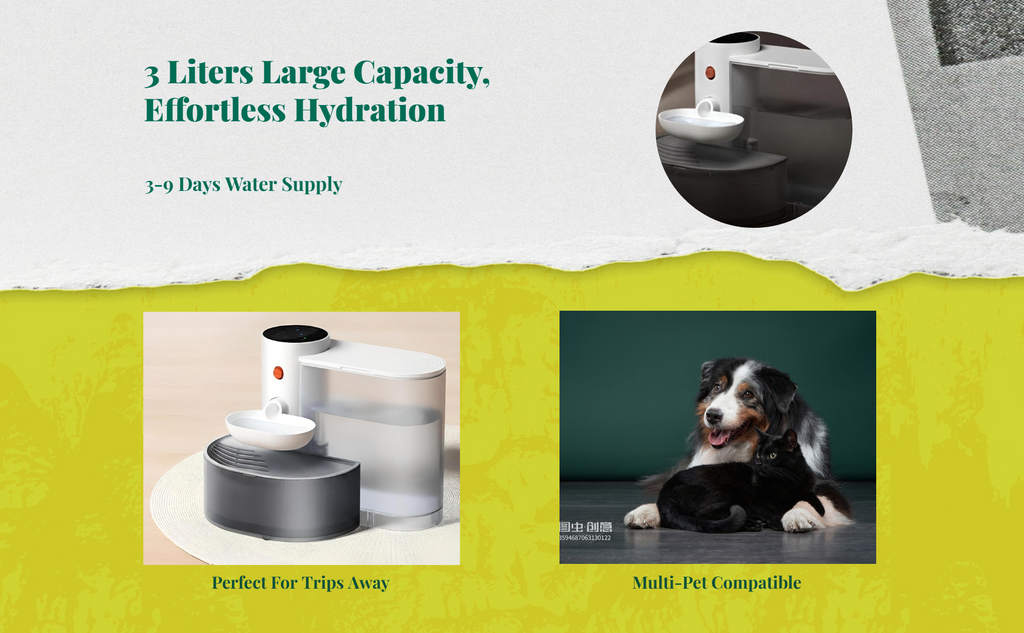 Large filtered pet water dispenser