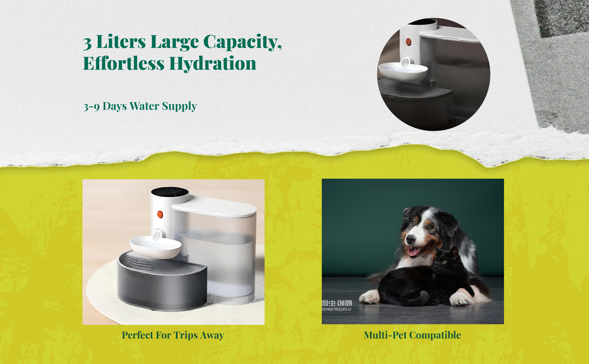 Large filtered pet water dispenser