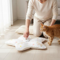 Automatic Cat Teaser Unleashes Instincts Hide and Seek Cat Toy for Cats