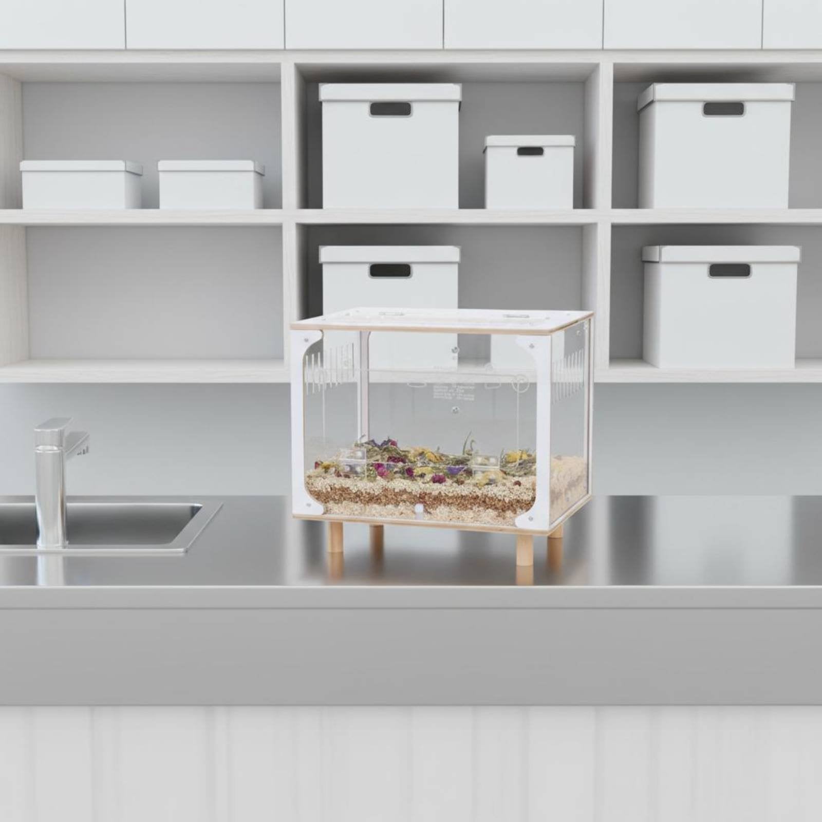 Acrylic Hamster Enclosure Spacious Interior Transparent Hamster Enclosure Easy