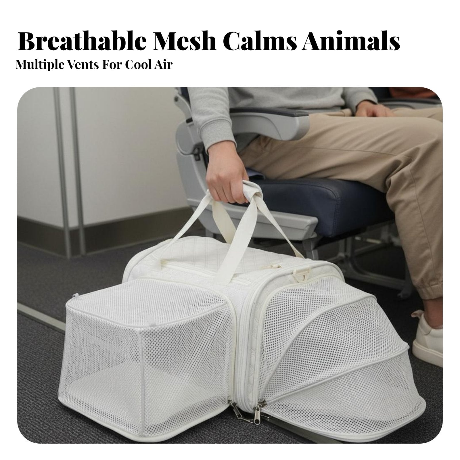 Airline Approved Pet Carrier Large Capacity Soft-Sided Pet Carrier for Car Rides