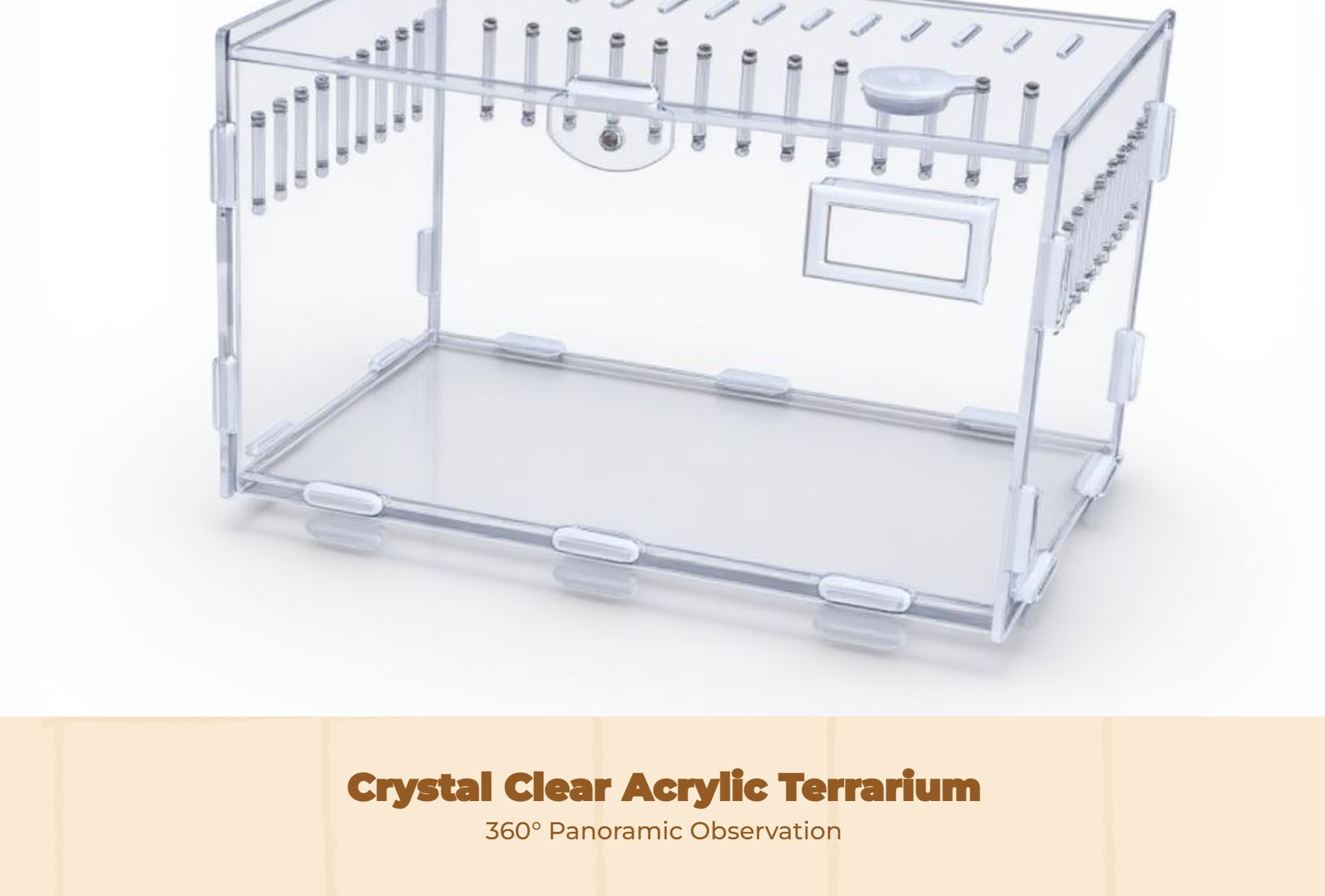 Transparent Acrylic Arachnid Habitat Breeding Box