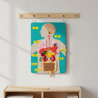 22 Pieces Organ Placement Busy Board DIY Learning Textile Biological Structure