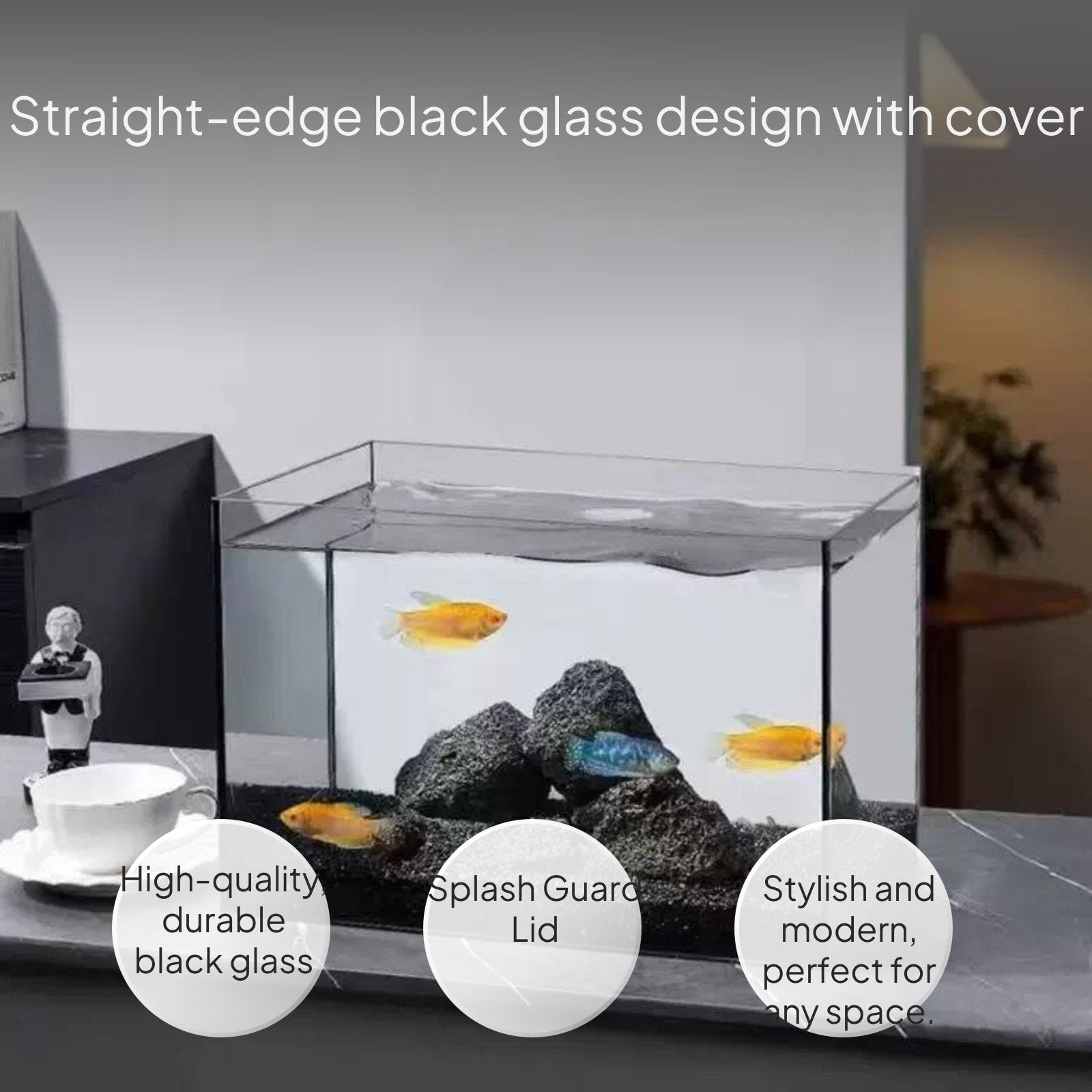 Glass Desktop Aquarium, Rectangular Black Silicone, Lid