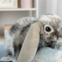 Lop Eared Rabbit Stuffed Animal Gift Idea Stuffed Rabbit Toy Realistic Design