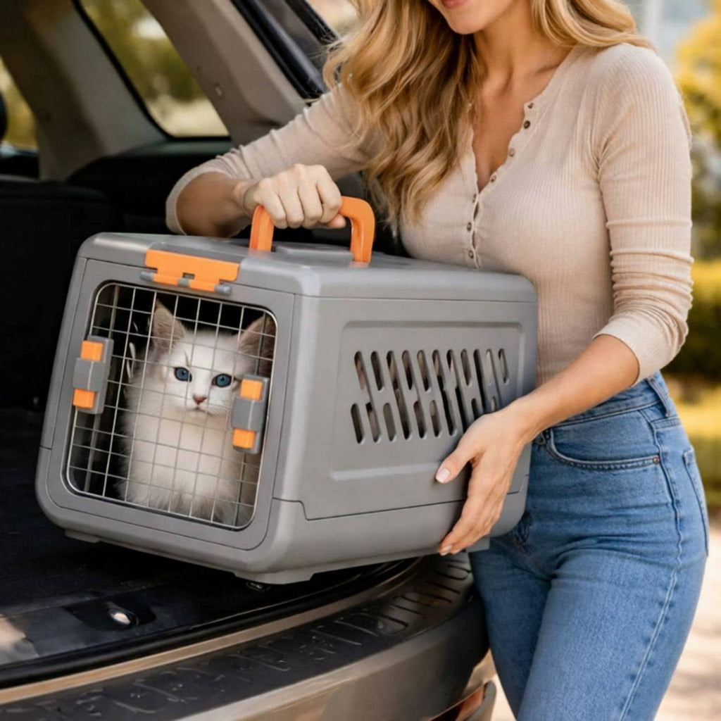 Airline Pet Carrier Top Handle Cat Travel Crate Spacious Interior for Car Rides