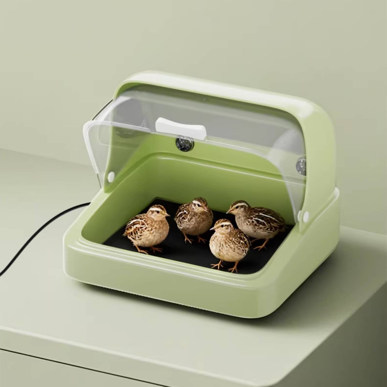 Temperature Control Parrot Brooder Fast Heating Heated Chick Brooder Box