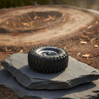 4 Pieces 2.2 Inch Beadlock Wheel Rim High Traction Metal Rim Tire Mud Terrain