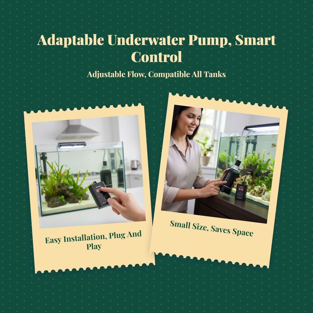 Ultra-Quiet Aquatic Circulation Pump Bottom Suction Strainer